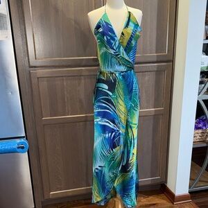 Cache -maxi dress